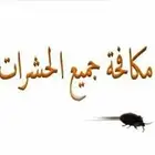 شركة مكافحة حشرات بجازان