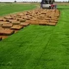 ثيل طبيعي مزرعه الرضوى
