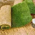 قص .تزيين ..زراعه اشجار .زراعه نجيل. نظافه .تكسير.اي شغل عما