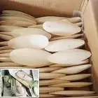 عظم حبار كالسيوم