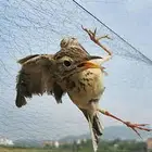شبك دخل وفري عليه خصم