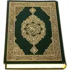 مدرس تحفيظ قران الكريم ( المدينة المنورة )