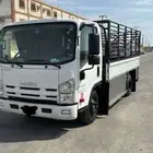 دينا مشاوير