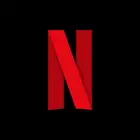 اشتراك نت فلكس 4K