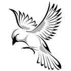 طيور