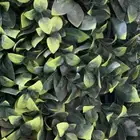 تنسيق حدائق