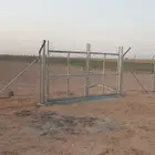 شبك