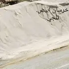 خرسان ابيض منظر حظاري