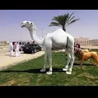 تنظيم معارض وتنفيذ بوثاث حفل الشركات مجسمات فايير وفلين