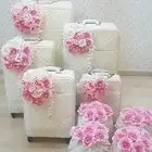 نقل دبش كنب عروسة بالمدينة المنورة