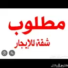 شقة للإيجار