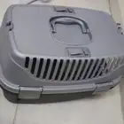 قط منزلي لي البيع سبب ظروف خاصه وسفر خارجي البلد