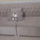 اثاث نضيف جدا كنب شبه جديد طاوله مع4خدمه طاوله شاشه ومكيف