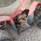 دباب سويدي 2015 تم البيع