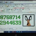 تصاميم تطريز برامج دورات