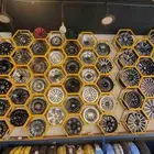 جنواط برايد