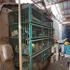 حديد قفصين دواجن 4 ادوار