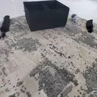 أشياء عشوائيه