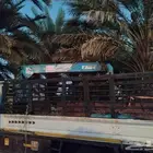 دنة ونش لنقل الابل والمعدات