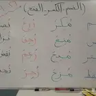 معلمة جميع المواد للمرحله الأبتدائية