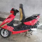 دباب همبرتا