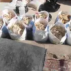 متوفر خبز خمير الحلال والابل والمواشي والطيور والأسماك نظيف