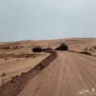 سوق بلدوزر خبره عشره سنه