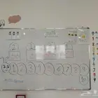 معلمة تأسيس جميع مواد ابتدائي