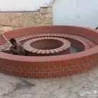 المذنب القصيم