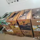 تمر نوع شقراء