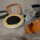 اغراض قطة