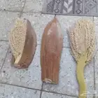 لقاح نخل مضمون