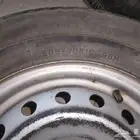 كفرات وجنوط هالوكس