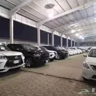 جميع انواع السيارات 2023