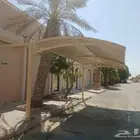 مضلات
