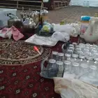 قهوجي جازان