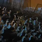 بط مكسوفي بط بكيني منتج وز عراقي