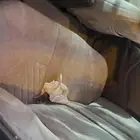camry 2001