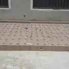 مبلط محمد سليم