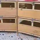 حضانات صوص