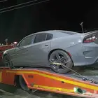 سطح  العلا