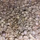 قهوه ( بن ) حرازي اسماعيلي درجة أولى