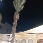 خيمه مضله سواتر