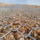 الشبوك بجميع انواعها ومقستها