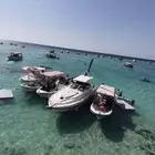 رحلة بحرية جماعية جزيرة ابو طير