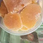عسل سدر عصيمي ملكي فاخر موسم جديد