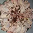 زغاليل فرنسي وزاجل