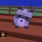 raccoon gag Roblox