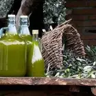 زيت زيتون قلسطيني معصور عصرة بكر لكل المدن