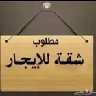 شقة او دور